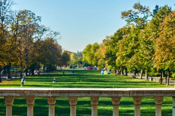 Відпочиньте в центральному парку — стокове фото