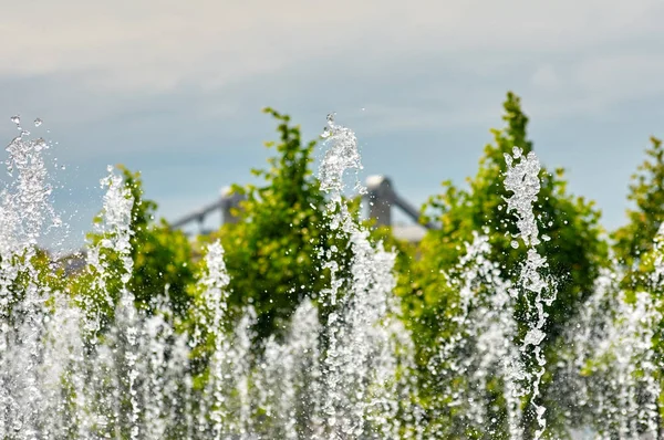 Spray de fuente. salpicadura — Foto de Stock