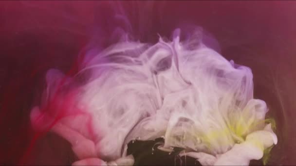 Strzał Bliska Kolorowe Mieszanki Chmur Gwasz Wodzie Poruszać Się Zwolnionym — Wideo stockowe