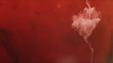 Yakın plan çekim. Suyun içinde rengarenk guaj bulutları ve ağır çekimde hareket ediyor. Mürekkep arkaplanı ya da mürekkep efektli arkaplan kullanımı, alfa kanalı onun için kullanılmaktadır