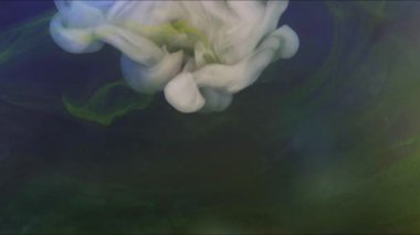 Yakın plan çekim. Suyun içinde rengarenk guaj bulutları ve ağır çekimde hareket ediyor. Mürekkep arkaplanı ya da mürekkep efektli arkaplan kullanımı, alfa kanalı onun için kullanılmaktadır