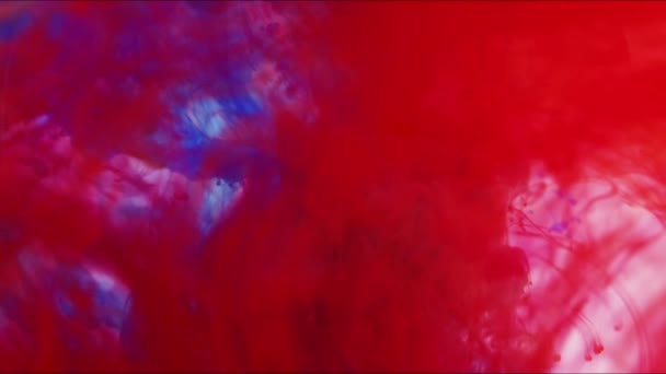 特写镜头 五彩斑斓的混合物在水中搅动云彩 慢动作 在黑漆漆的背景或有烟熏或墨水效果的背景下 通道被用于它的Luma Matte — 图库视频影像
