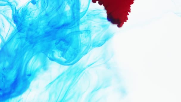 Colorful Ink Mix Gouache Clouds Water Move Slow Motion Use — Stock Video