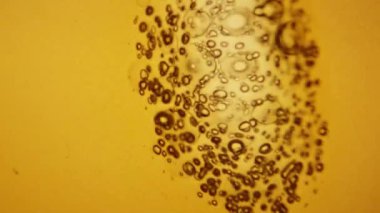 Eski film şeridi kabarcığı ile yanıyor