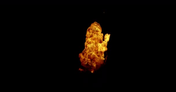 Feuerwehreinsatz Mit Hochgeschwindigkeitskamera Feuerlinie Superzeitlupe Isoliert Auf Schwarz Feuerflammen Die — Stockvideo
