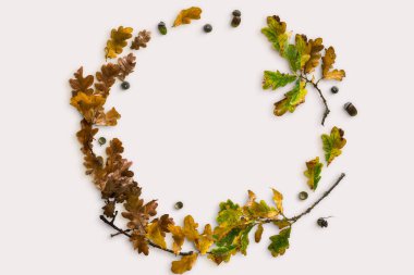 Sonbahar renk yaprakları masa üzerinde beyaz arkaplan ile karıştırılmış