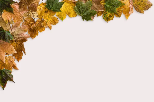 Autumn Color Leaves Mix Mockup Table White Background — Stockfoto