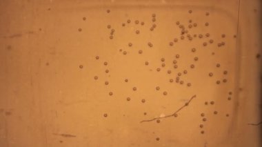 Eski film şeridi kabarcığı ile yanıyor