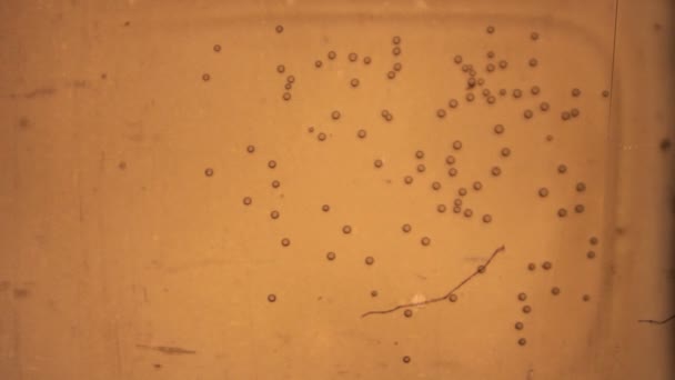 Vieille bande de film brûler avec bulle 