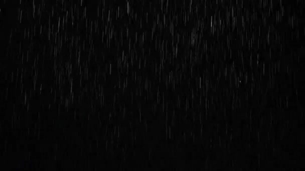 Loop Rain Drops Falling Alpha Lluvia Real Trueno Alta Calidad — Vídeo de stock