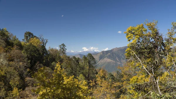 Montanhas e floresta. Reino do Butão — Fotografia de Stock