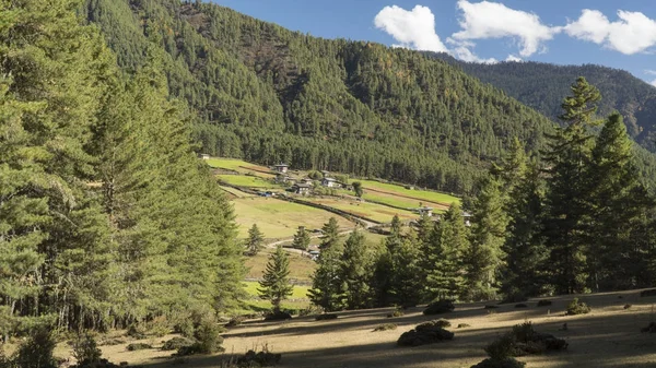 Doliny Phobjikha. Królestwo Bhutanu — Zdjęcie stockowe