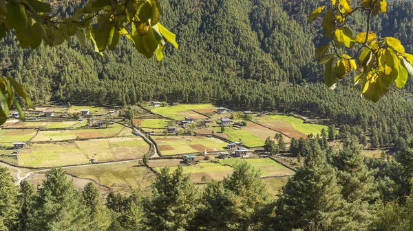 Doliny Phobjikha. Królestwo Bhutanu — Zdjęcie stockowe