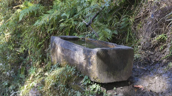 Fonte d'acqua. Regno del Bhutan — Foto Stock