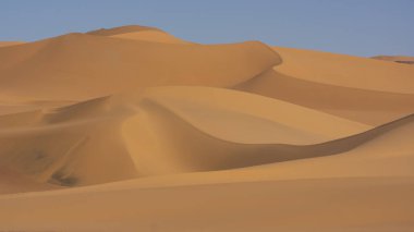 sahara çöl dunes