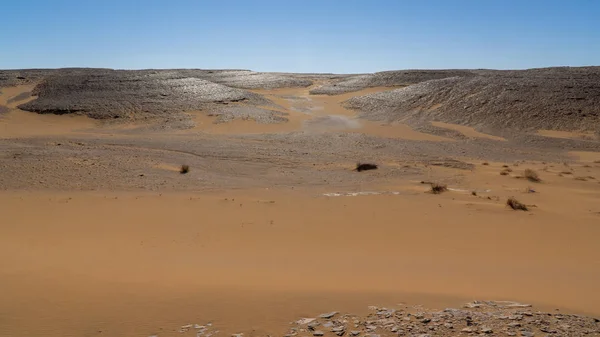 Landscape of Sahara desert — Stock Photo, Image