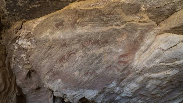 Стародавнє скельне мистецтво в пустелі Сахара — стокове фото