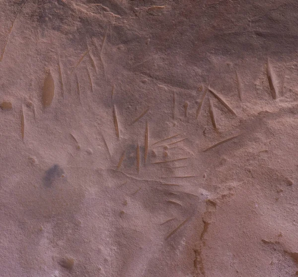 Древнее наскальное искусство в пустыне Сахара — стоковое фото