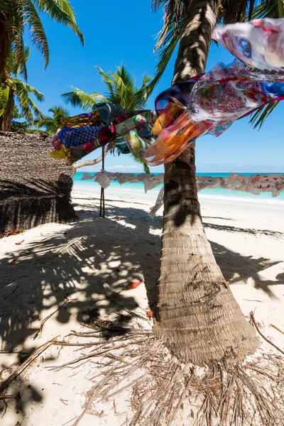 マダガスカルの布がヤシの木で遊べたり — ストック写真