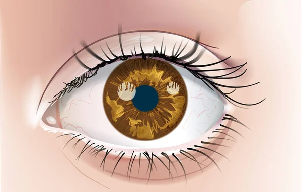 Eine Realistische Zeichnung Eines Menschlichen Auges Mit Einer Braunen Iris — Stockvektor