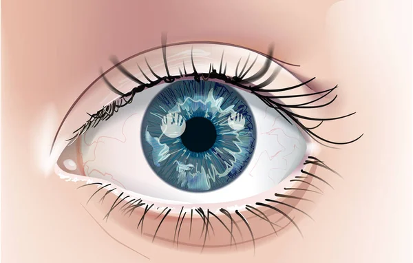 Dibujo Realista Ojo Humano Con Iris Azul Primer Plano Este — Archivo Imágenes Vectoriales