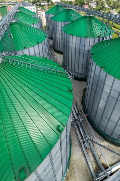 Silos for grain storage. A modern warehouse of wheat and other cereals.