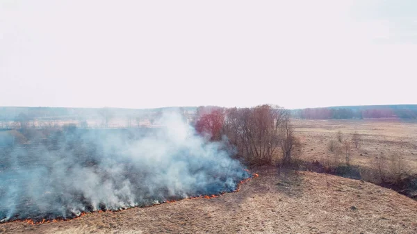 Forest and field fire. Dry grass burns, natural disaster. The fire is approaching a small stream.