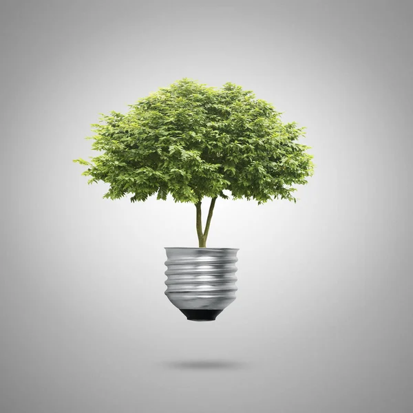 Símbolos Energia Verde Ecologia Lâmpada — Fotografia de Stock