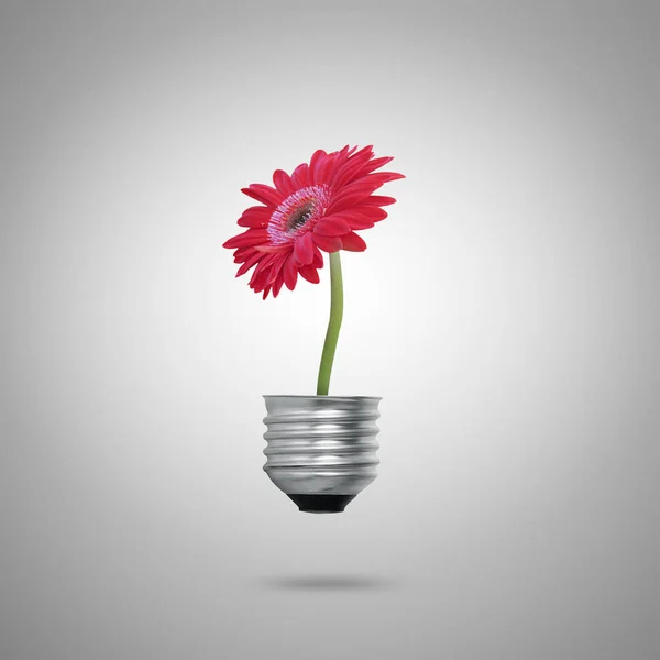 Grüne Energie Symbole Ökologie Glühbirne — Stockfoto