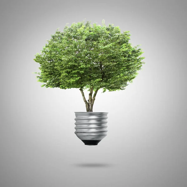 Groene Energie Symbolen Ecologie Gloeilamp — Stockfoto