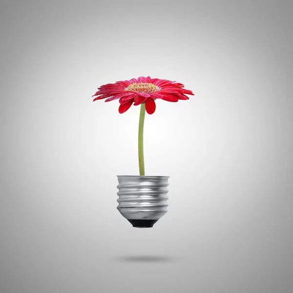 Green Energy Symbols Ecology Light Bulb — Stock Photo, Image