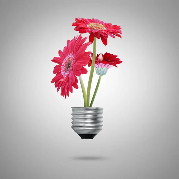 Green Energy Symbols Ecology Light Bulb — Stock Photo, Image