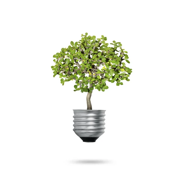Símbolos Energia Verde Ecologia Lâmpada — Fotografia de Stock