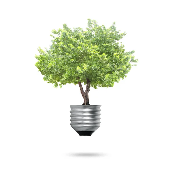 Green Energy Symbols Ecology Light Bulb — Stock Photo, Image