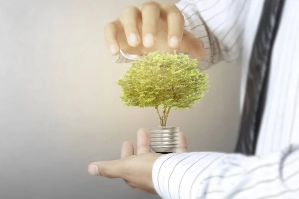 Grüne Energie Symbole Ökologie Glühbirne Der Hand — Stockfoto