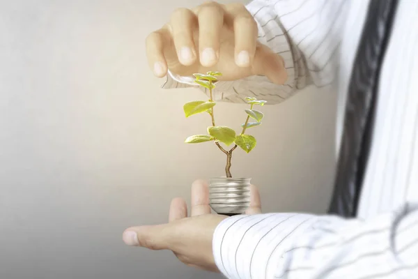 Energia Verde Simboli Ecologia Lampadina Mano — Foto Stock
