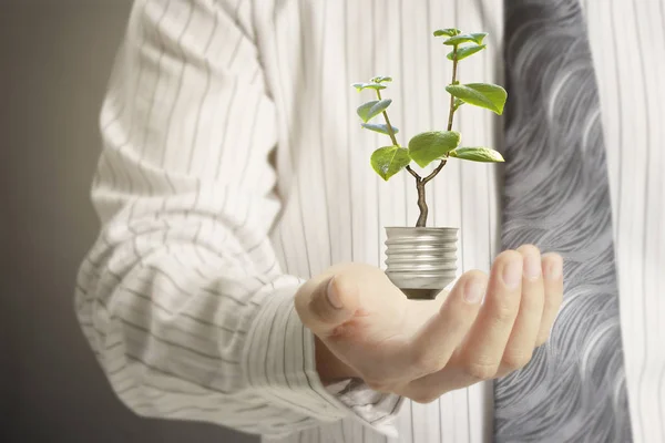 Símbolos Energia Verde Ecologia Lâmpada Mão — Fotografia de Stock