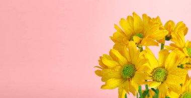 Beautiful  flowers blooming in garden.outdoors close-up macro