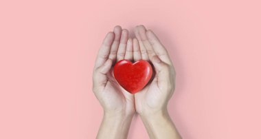 El kırmızı kalp tutan, kalp sağlık, ve bağış kavramları