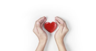 El kırmızı kalp tutan, kalp sağlık, ve bağış kavramları