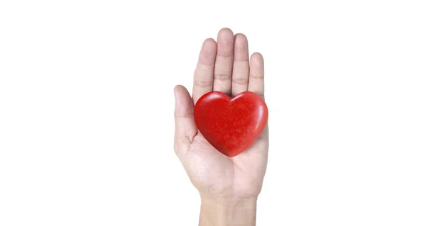 빨간 심장, 심장 건강 및 기부 개념을 들고 있는 손 — 스톡 사진