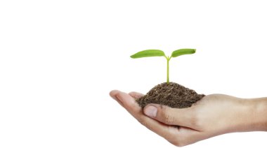 Tomurcuklanan fidanların arasında tomurcuklanan ağaçların arasında Dünya Günü.