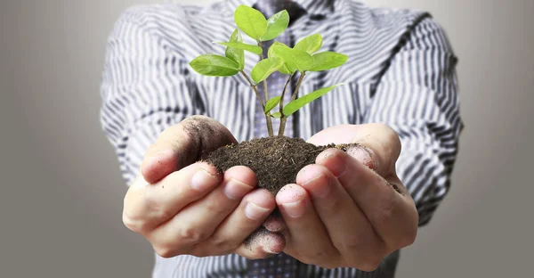 Las Manos Humanas Sosteniendo Brotar Planta Jóven Ambiente Día Tierra — Foto de Stock