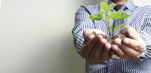 Mänskliga Händer Som Håller Groddar Ung Planta Miljö Earth Day — Stockfoto