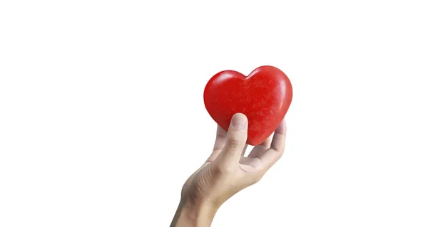 Hände Die Ein Rotes Herz Halten Herzgesundheit Und Spendenkonzepte — Stockfoto
