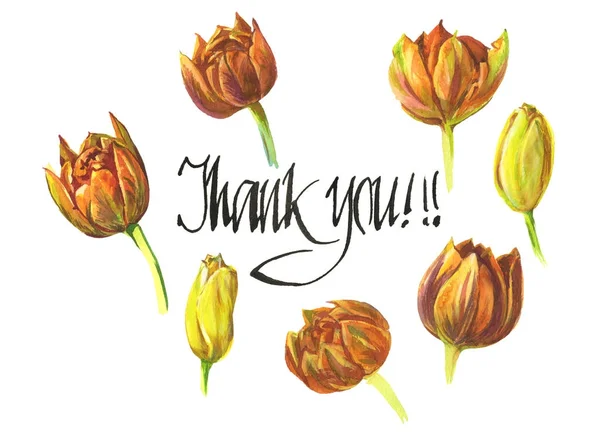 Groet Kaart Bedankt Bloemen Van Tulpen Een Witte Achtergrond Aquarel — Stockfoto