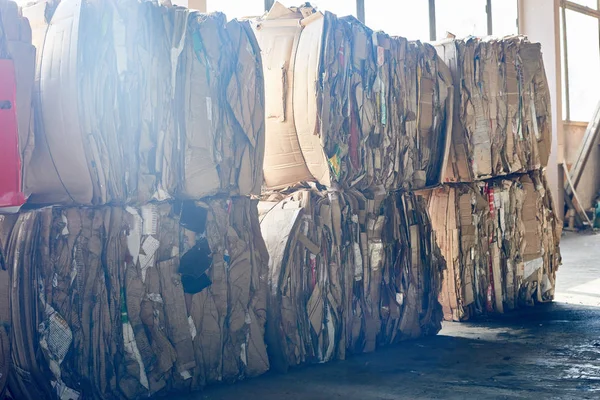 Packs Bind Cardboard Stacks Industrial Warehouse Modern Waste Processing Plant — Stock Photo, Image