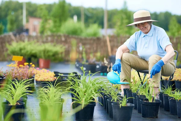 Retrato Mujer Mayor Feliz Disfrutando Del Trabajo Jardineras Riego Aire — Foto de Stock