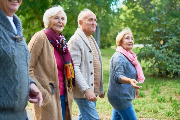 Elderly friends wearing knitted sweaters enjoying fresh air and picturesque view while walking along park alley