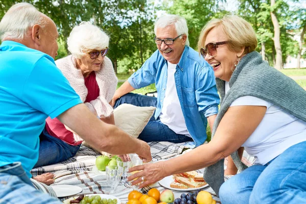 Vrolijke Groep Ouderen Hebben Picnic Zonnige Groene Park Chatten Geanimeerd — Stockfoto